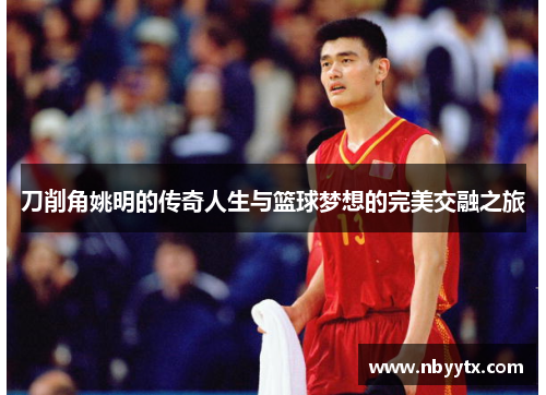 刀削角姚明的传奇人生与篮球梦想的完美交融之旅